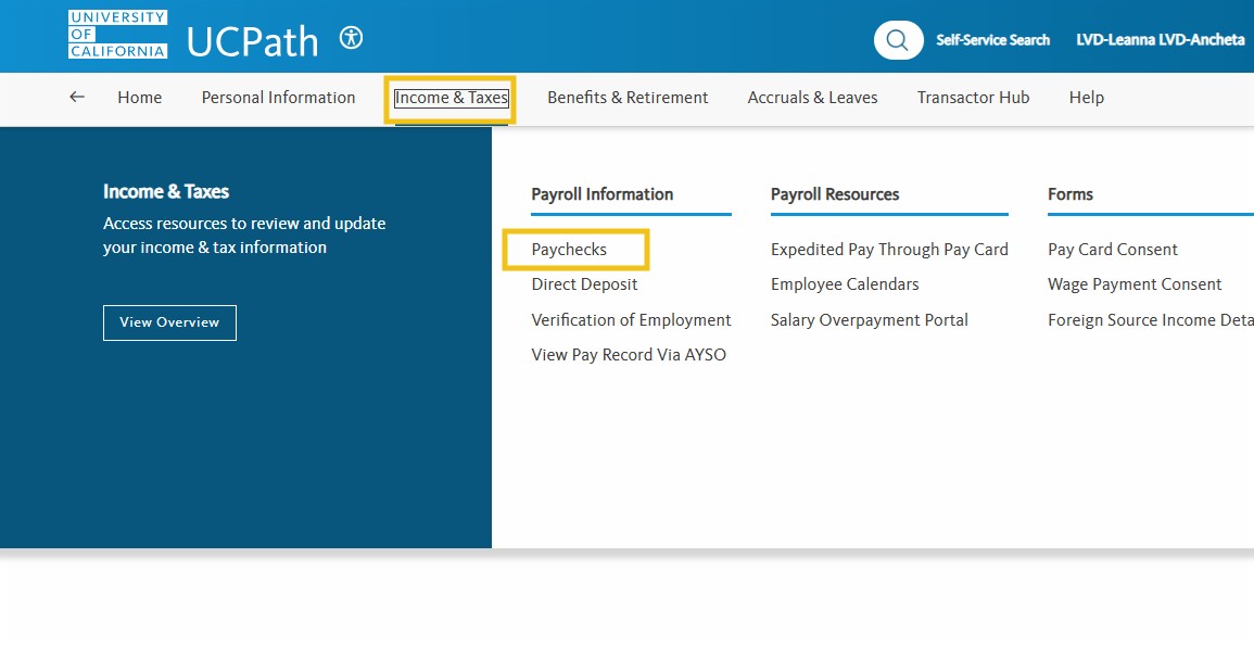 Review Earning Statements/Pay Stubs